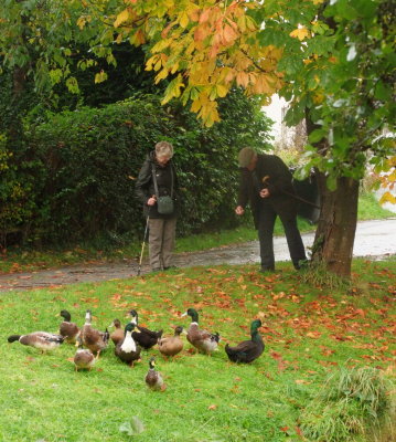 Feeding  the  ducks - fun  at  any  age !