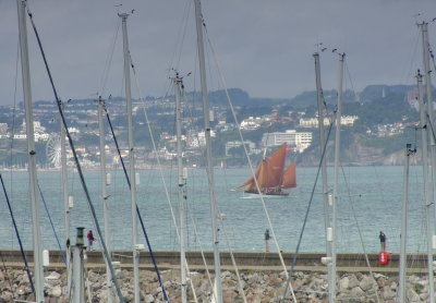 Sailing  in  Torbay.