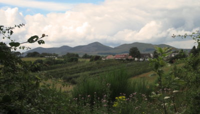 Pentland  Hills  from  Roslin.