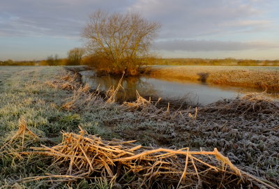 A  frosty  start  by  the  River  Roding.