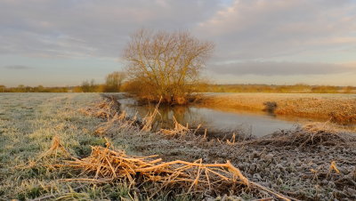 A  frosty  start.