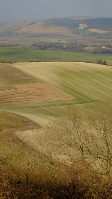 Elaborate  field  cutting  designs.