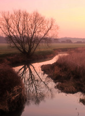 The  River  Roding  at  dawn