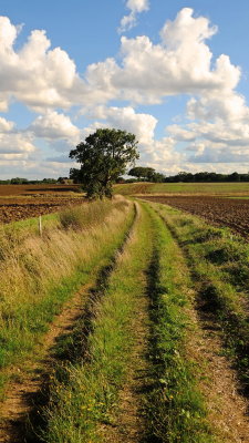 3 Forests  Way  footpath