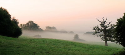 Morning  mist with early sunlight