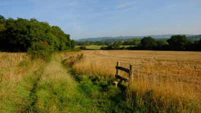 Farmland  near  Hall's Green