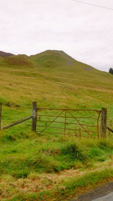 Tinnis  Castle  mound  and  field  gate.