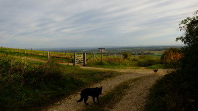 Max  and  Eddie  at  the  crossroads