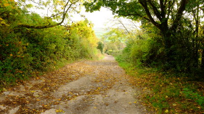 The  descent  into  Alfriston.