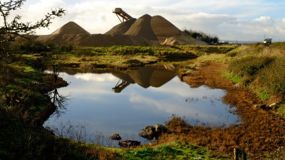 Sandhills  reflected.