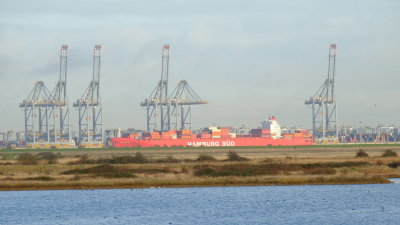 Looking  across  Cliffe  Pools  to  London  Gateway  Port.