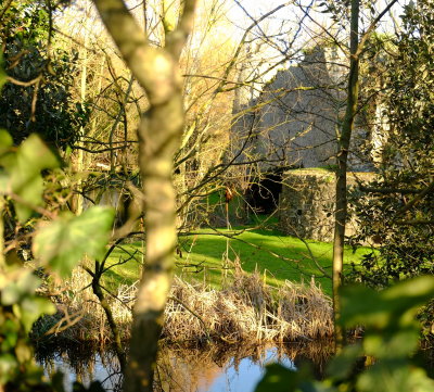 Castle  ruins  through  the  hedge.