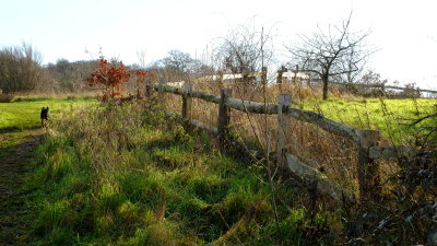 The  Junction  of  the  footpaths.