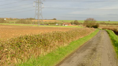 Looking  back  to  Ropers  Farm .