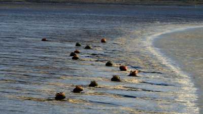 Tethering  buoys , lying  on  dried salt
