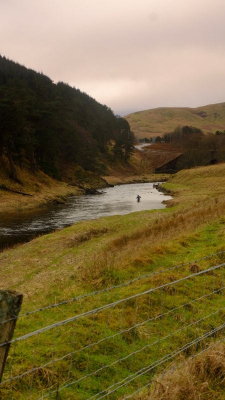 A fly fisherman , waist deep in the River  Clyde , on a freezing  morning.