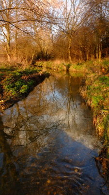  A  bright  February day, reflects  in  the  River  Rom.