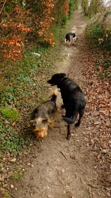 Eddy , Max and  Beth