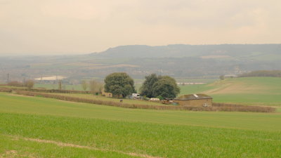Looking  west across Ivy  Cottage  to  the  North  Downs