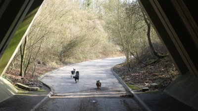 Eddie, Beth  and  Max  leaving  the  A229  underpass.