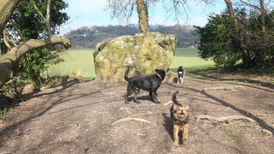 The  dogs  at  the  White  Horse  Stone