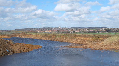 Looking  towards  Collier  Row.