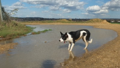 Beth  testing  the  water