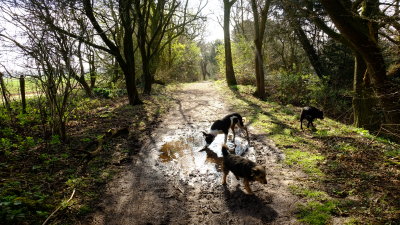 Beth  inspects  a  puddle , as  Eddie  evades  the  same.