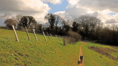 The  path  leading  to  Thurnham  Castle .