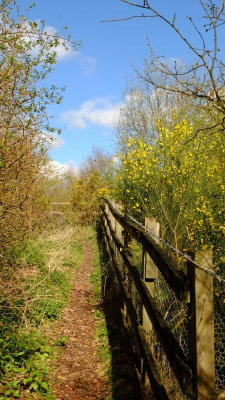 Footpath  over  the  railway  and  M20 Motorway.