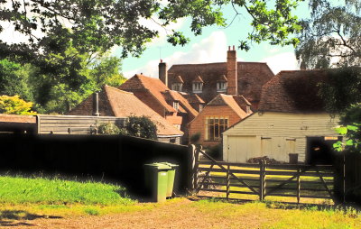 A  rear  view  of The  Big  House.