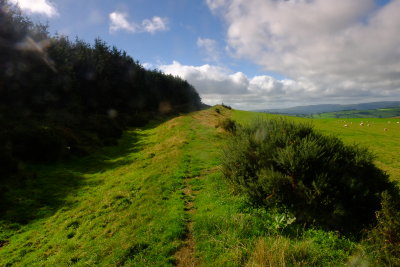 Offa's  Dyke  and  ditch  on  Hawthorn  Hill. Wales being on the right of the mound.