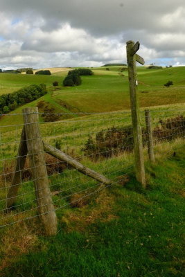 The  Offa's  Dyke  signpost  on  Furrow  Hill , 320m.