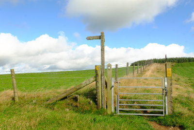Offa's  Dyke  descending  to the field  gate  .