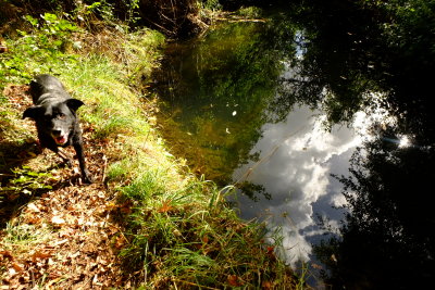 Max  beside  a deep  pool.