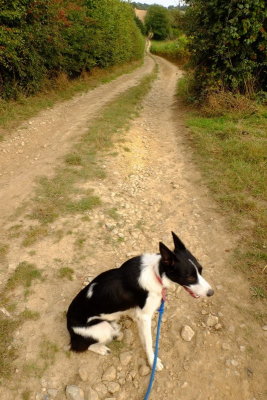 Beth resting  on  the  lane  to  Bourne  Farm.