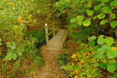 A  zigzag  footbridge , entrance  thereto.