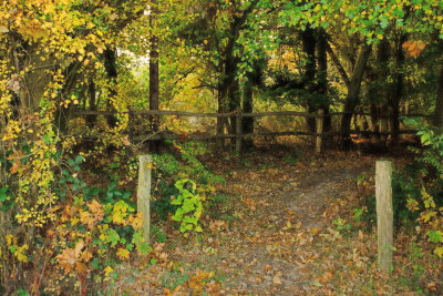 Entrance  to  Hoath  Wood , from  Clay  Hall