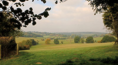 Looking  up  the Tillingham  Valley, from  the  hollow  way .