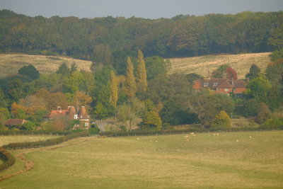 Heronry  house  and  Hayes  farmhouse