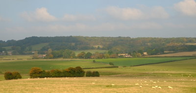Looking  north  across  the Tillingham  valley,  from  Udimore .