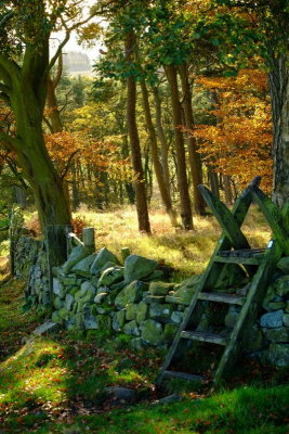 The  ladder  stile , by which  the H.W.Path crosses  this dry stone wall.