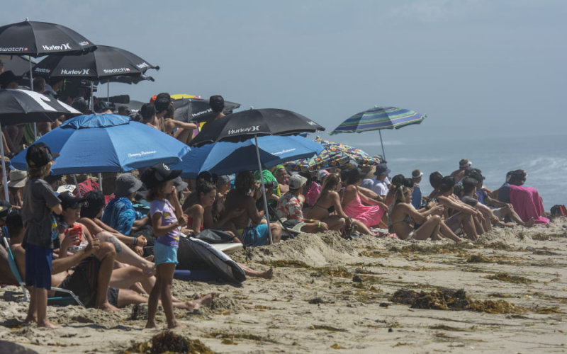 Hurley Pro Fans 5764