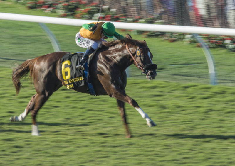 Del Mar Racing Gallery
