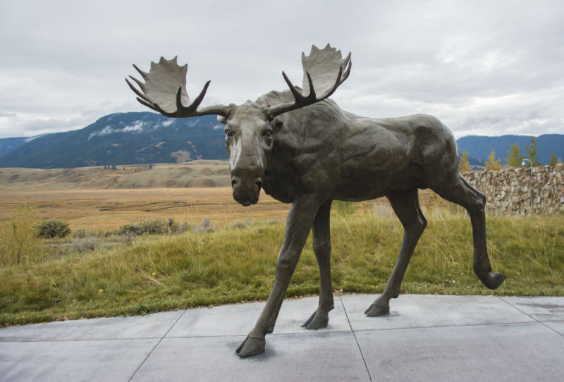Moose Sculpture 6180
