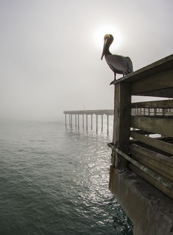 OB Pier 7588