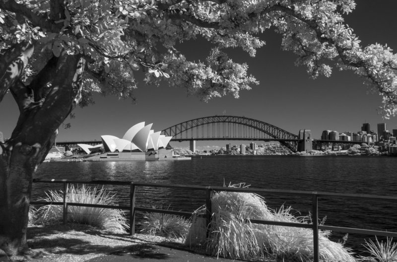 IR Sydney 3963