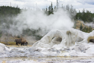 Yellowstone Park