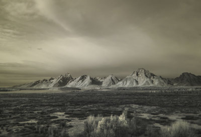 Yellowstone and Grand Tetons Parks