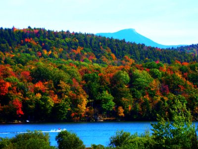 Vermont Seasons